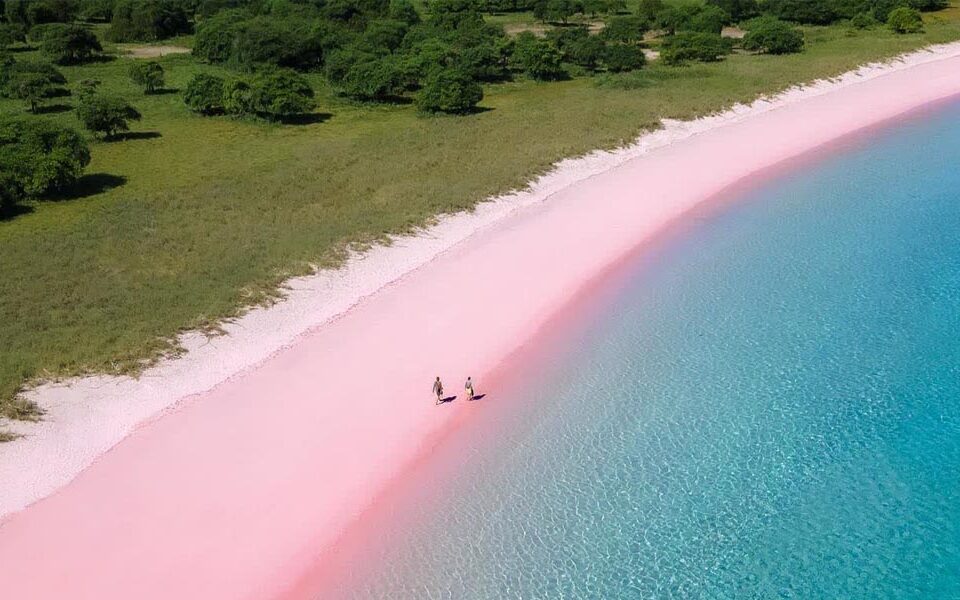 Pantai Pink Lombok
