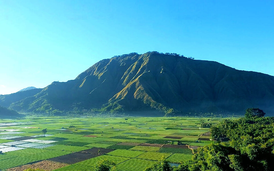 Wisata Sembalun Lombok timur