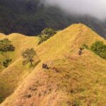 Bukit Sempana Lombok