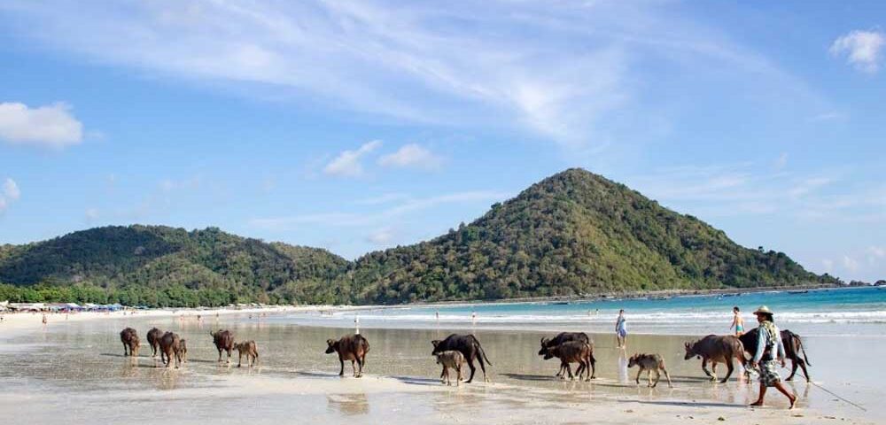 Pantai Selong Belanak