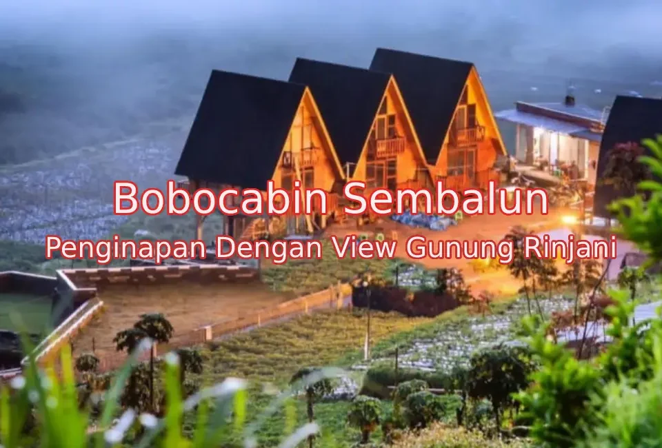 Bobocabin-Sembalun-Lombok